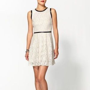 Accidentally in Love - Cream Lace Cocktail Dress
